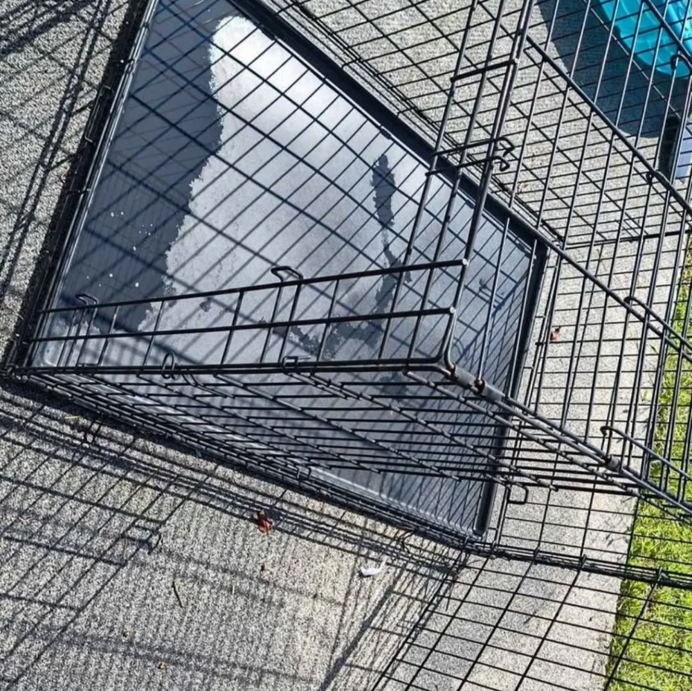 Kennels